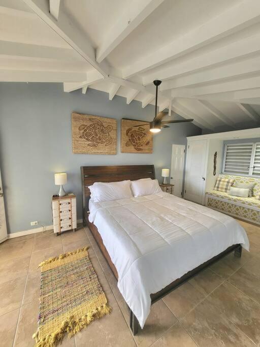 Caribbean Splendor With Million Dollar Views Villa Christiansted Buitenkant foto