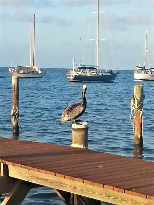 Caribbean Splendor With Million Dollar Views Villa Christiansted Buitenkant foto